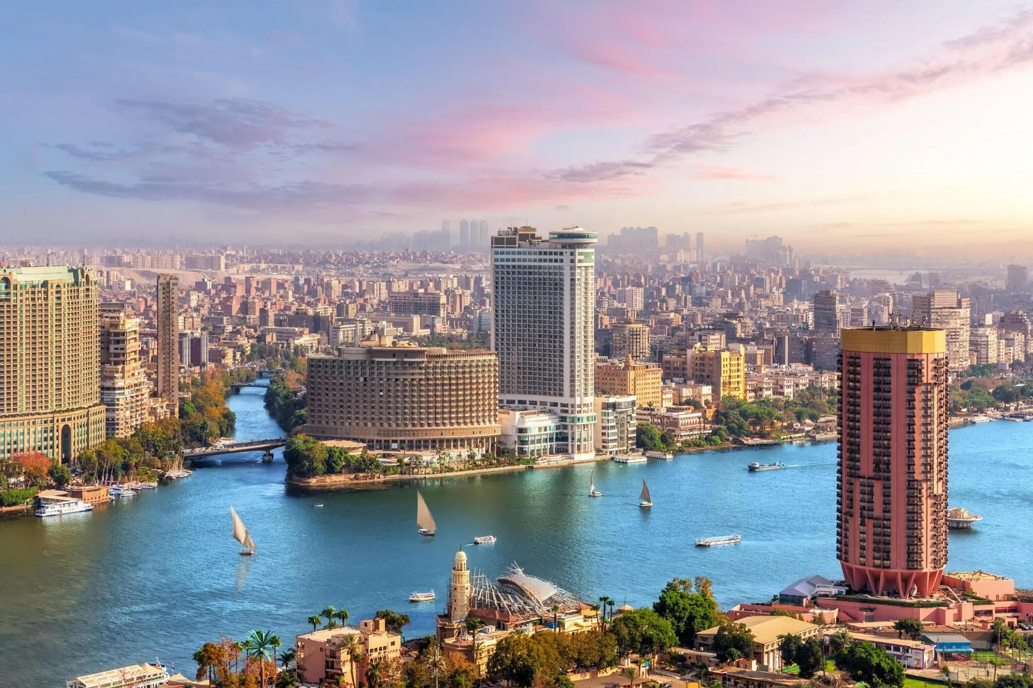 Cairo Discovery Day
